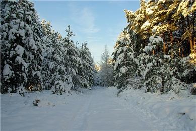 《魔兽世界》推出“强袭风暴”模式 魔兽自己的大逃杀